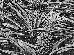 R010B04