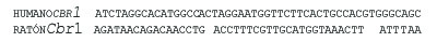Figura3A4
