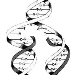 Figura4aA4
