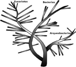 Figura4cA4