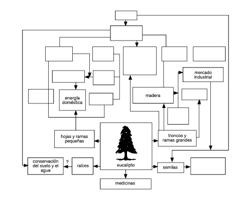 Esquema1