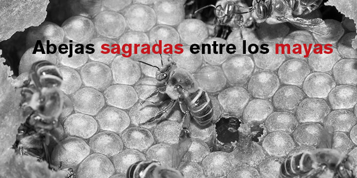 Entrada118A11