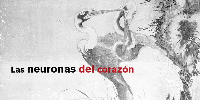 Entrada120A04