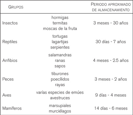 cuadroB0201