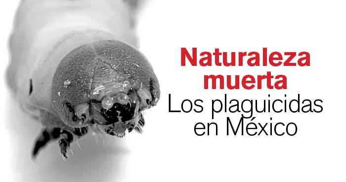 R07Articulo05