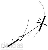 figura2A02