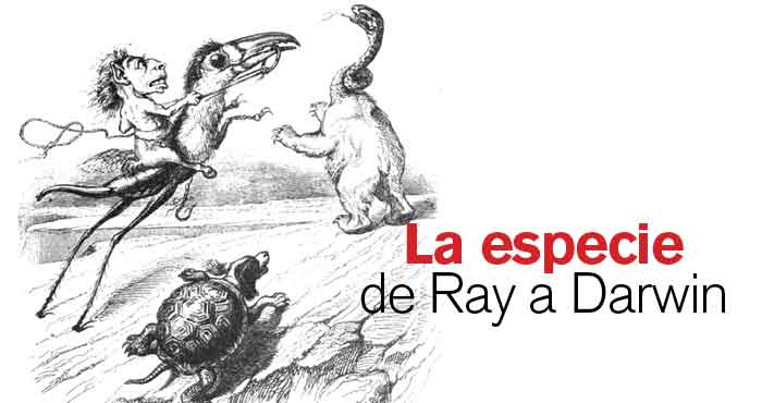 R19Articulo1