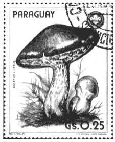 figura25B01 4
