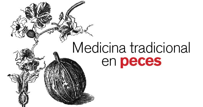 R26Articulo02