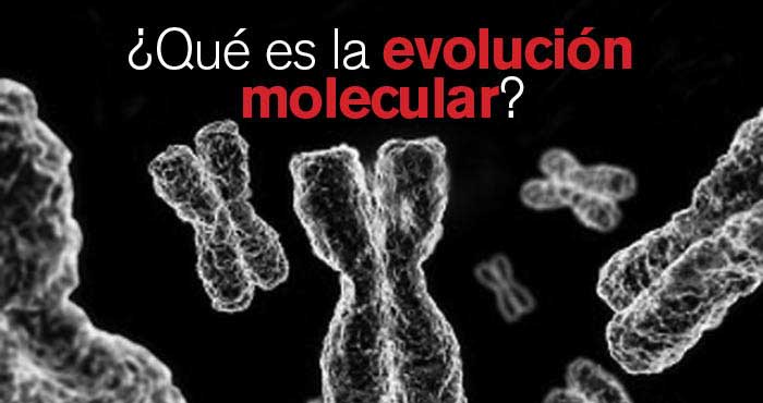 R03Articulos4