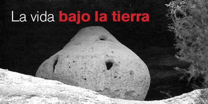 R36Articulo05