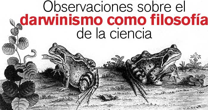 R38Articulo01