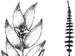 R041B04