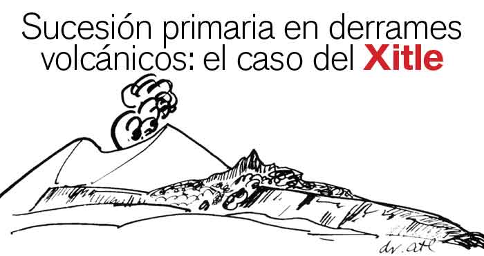 R41Articulo06