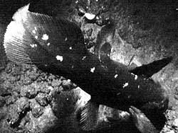 R042B02