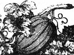 R042B03