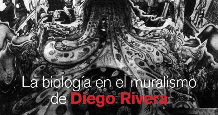 R45Articulo03