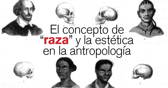 R45Articulo08