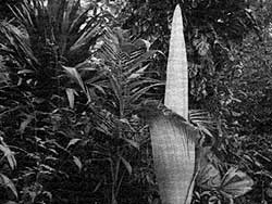R046B03