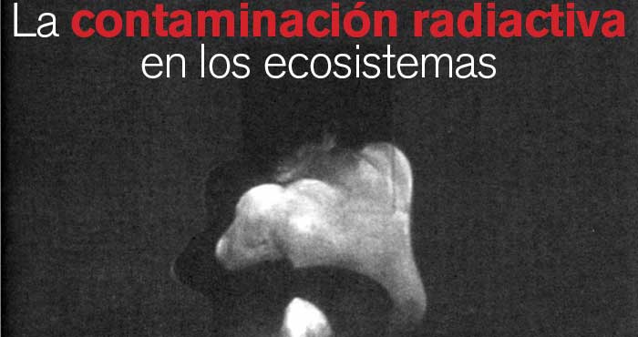 R47Articulo03