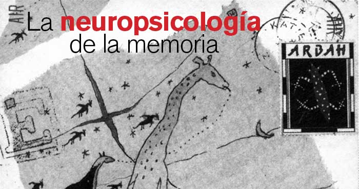 R49Articulo03