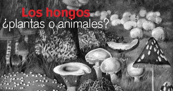 R05Articulos1