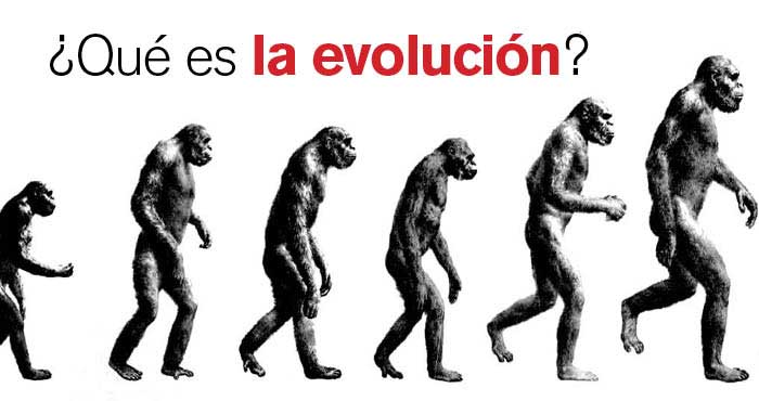 R05Articulos4