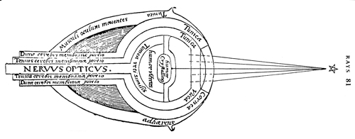 Martfigura3