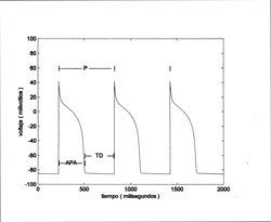 Arcefigura5