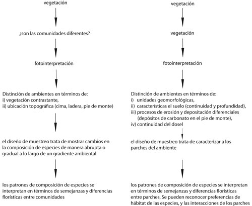 Cuadro2a