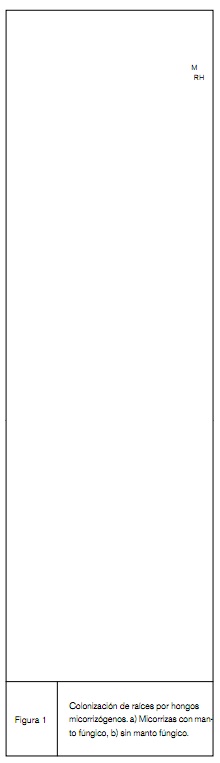 fig1