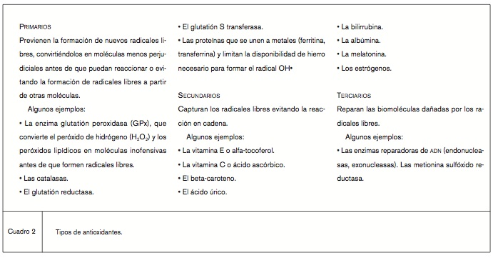 cuad2