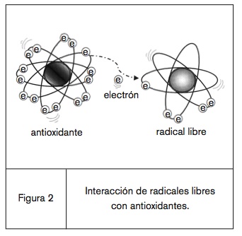 fig2