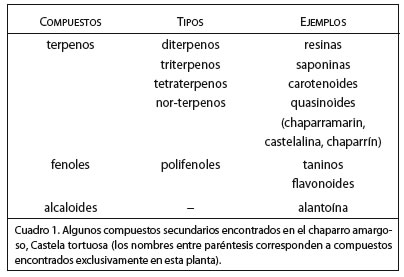 FIG1