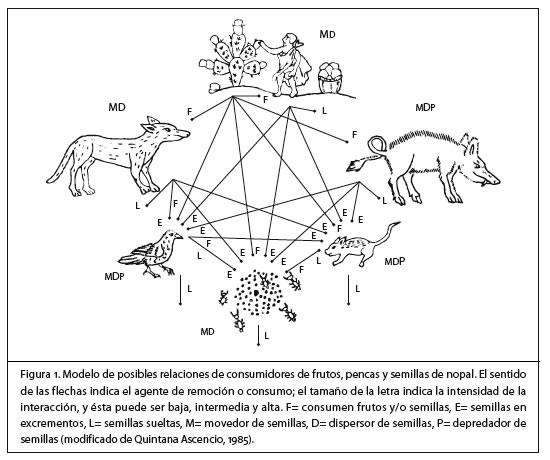 FIG1