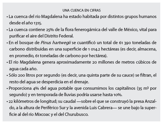 CUADRO1