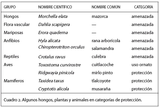 FIG2