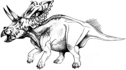 Chasmosaurus
