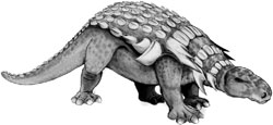 Edmontonia
