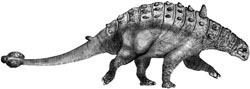 Euoplocephalus