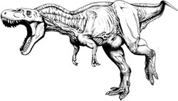 Gorgosaurus