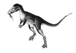 Troodon