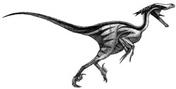 saurornitholestes