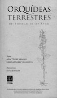 Libro4