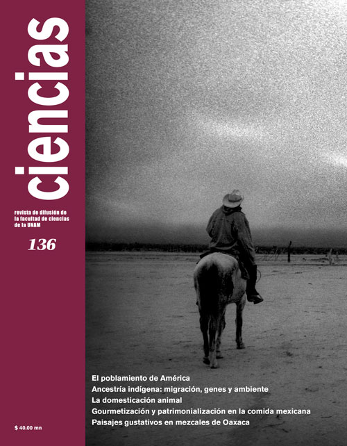 número 136 abril-junio 2020